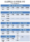 <strong>显卡：A卡各品牌的不同系列档次</strong>